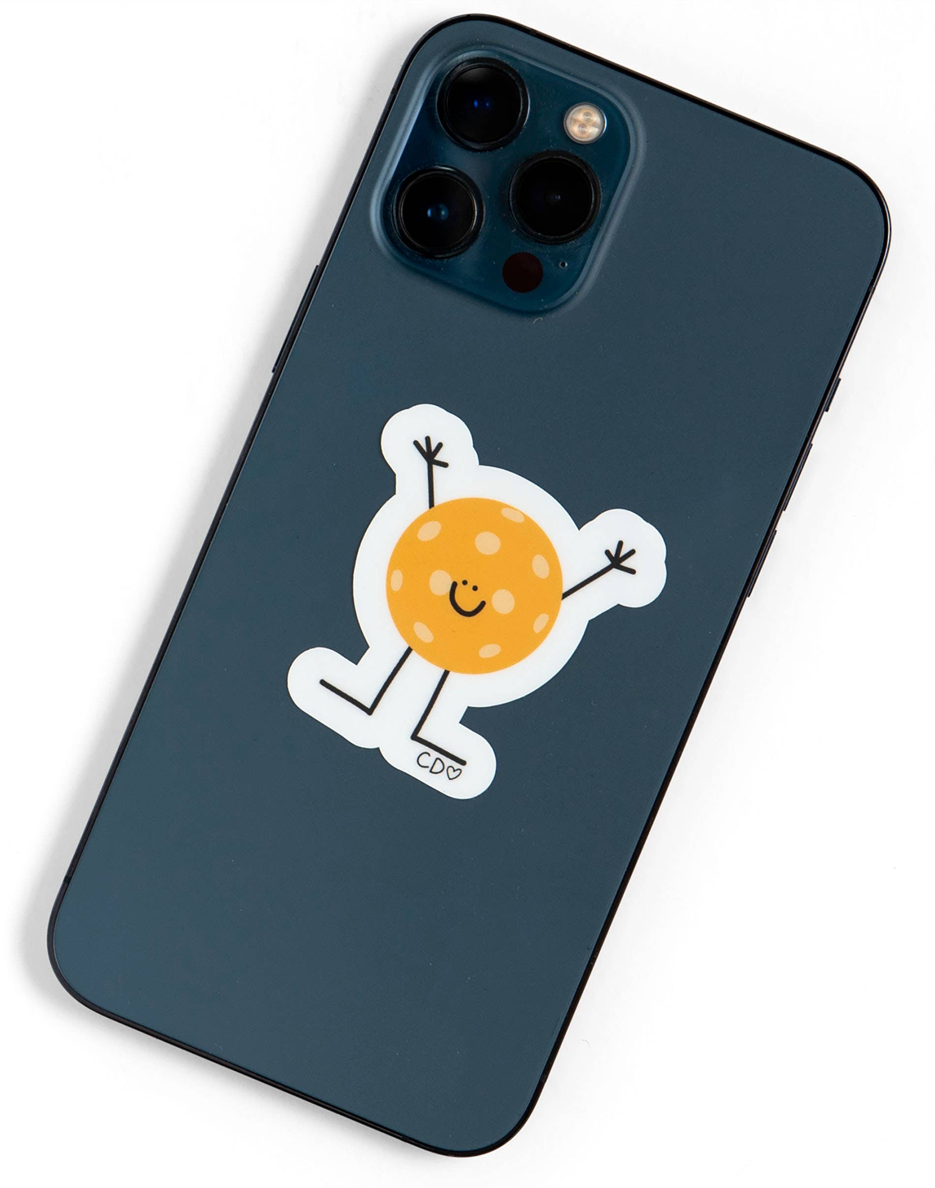 Pickleball Decal Sticker -The Pickleball Store at Auburn
