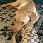 Chewy Vuiton Handbag Squeaker Dog Toy -The Pickleball Store at Auburn